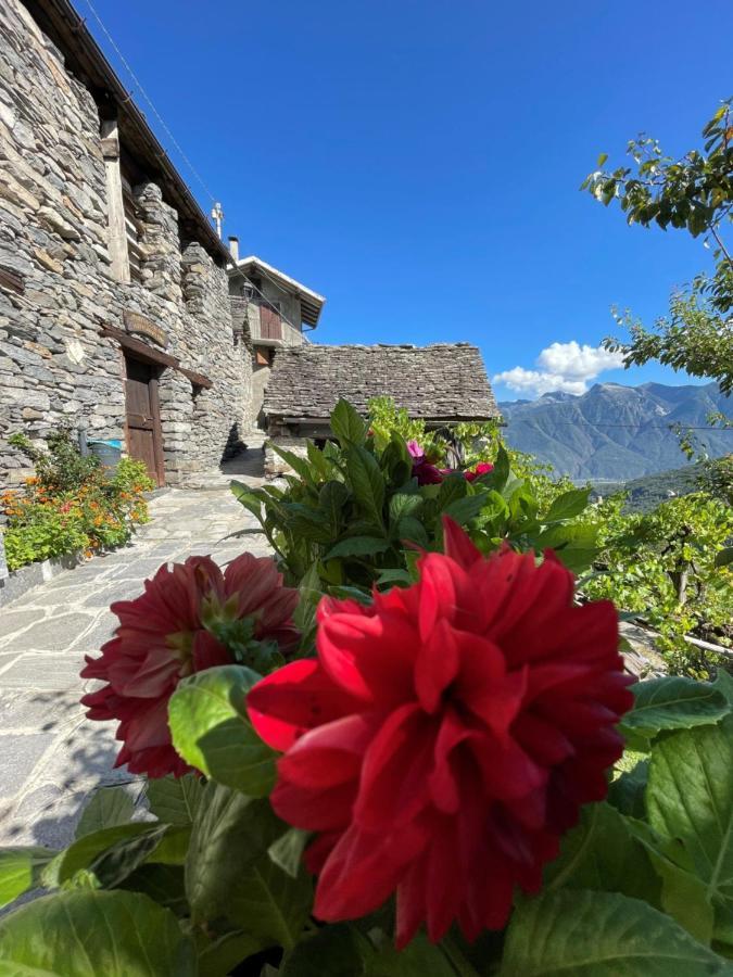 Villa Casa Vacanze La Carbunera Domodossola Exterior foto
