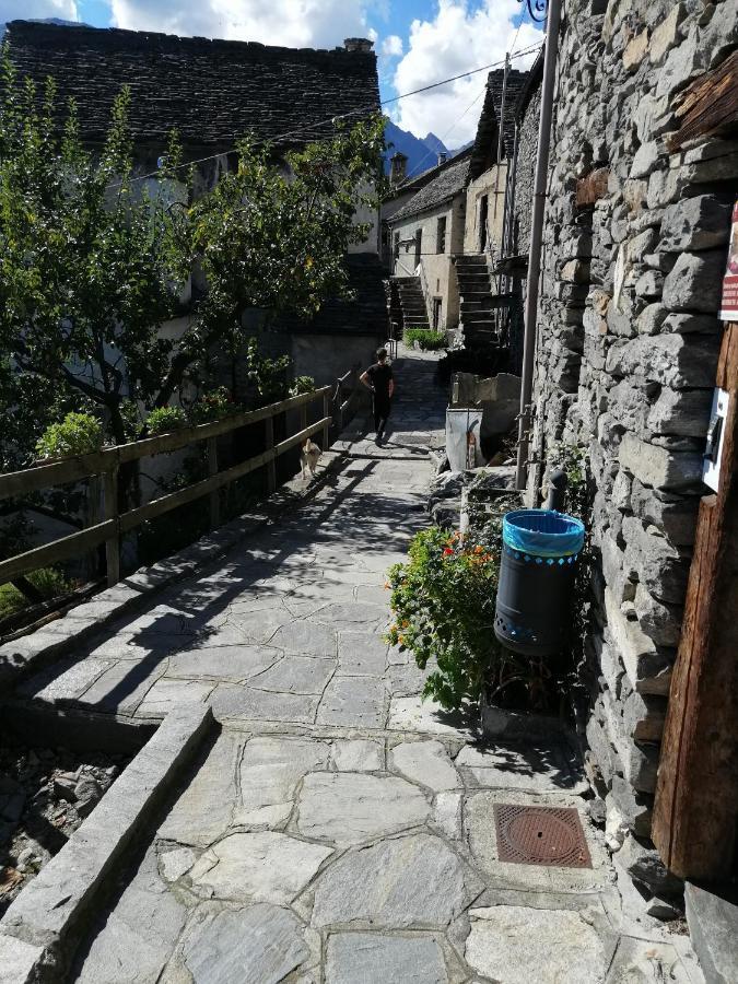 Villa Casa Vacanze La Carbunera Domodossola Exterior foto